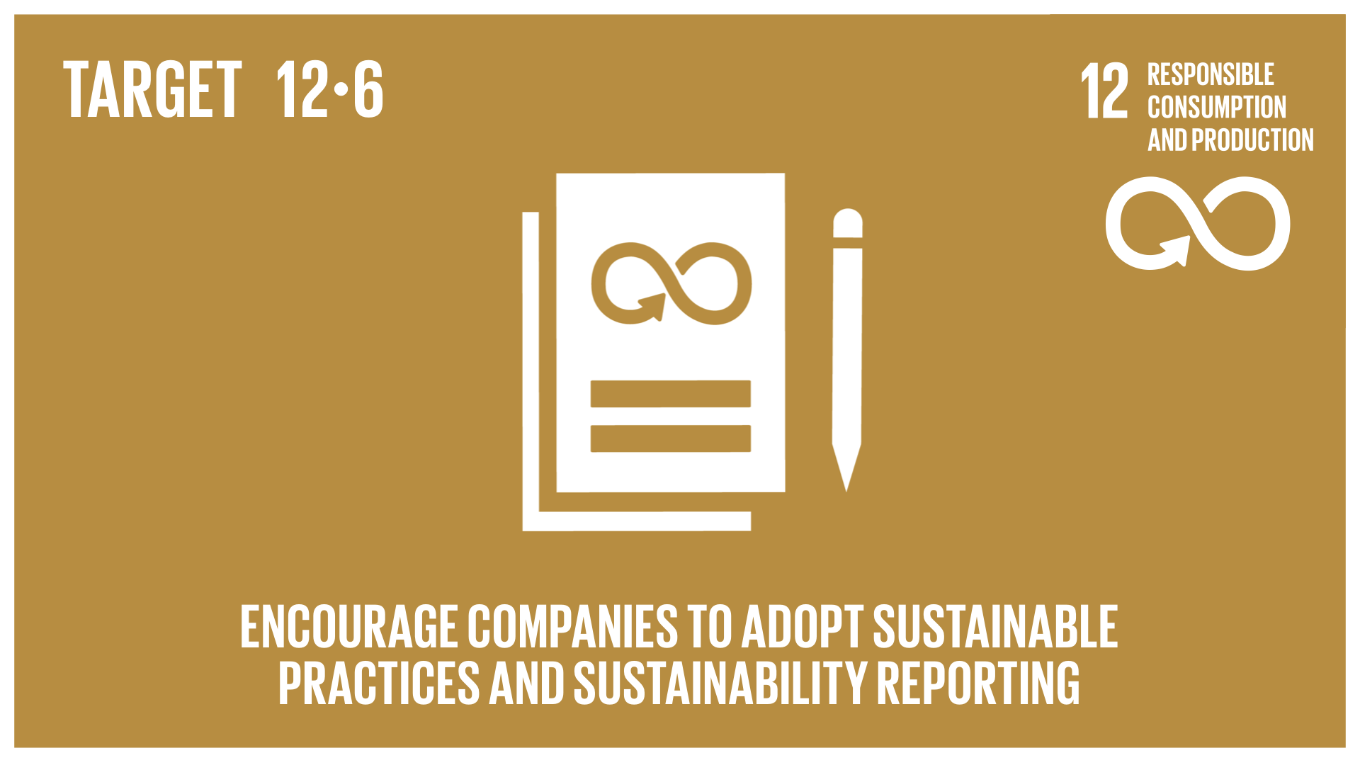 UN SDG 12 Responsibls Consumption and Production 