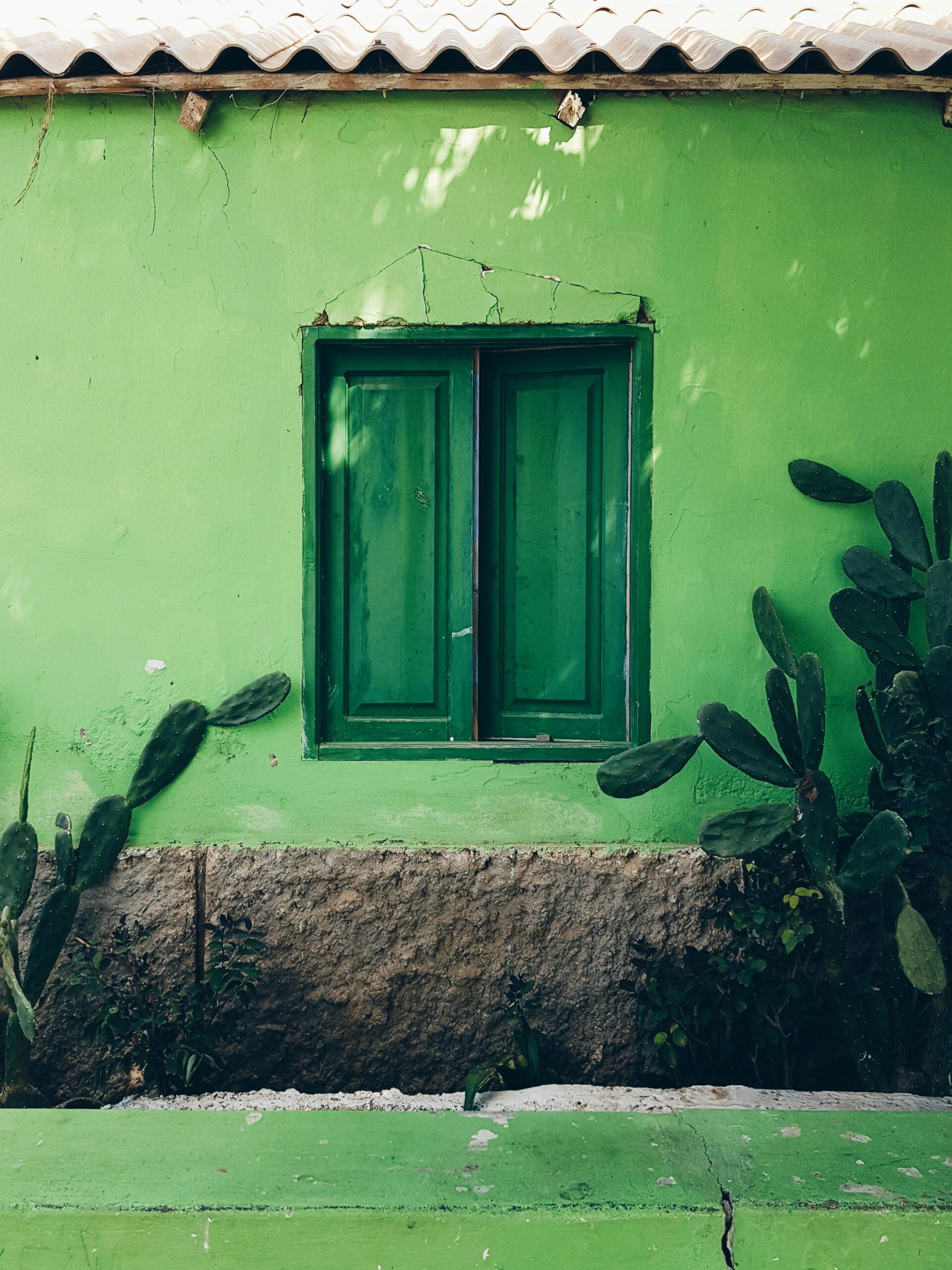green wall and shuttered window